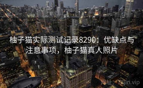 柚子猫实际测试记录8290：优缺点与注意事项，柚子猫真人照片