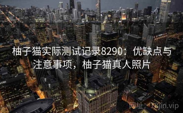 柚子猫实际测试记录8290：优缺点与注意事项，柚子猫真人照片