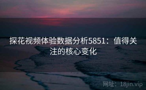 探花视频体验数据分析5851：值得关注的核心变化