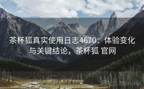 茶杯狐真实使用日志4670：体验变化与关键结论，茶杯狐 官网