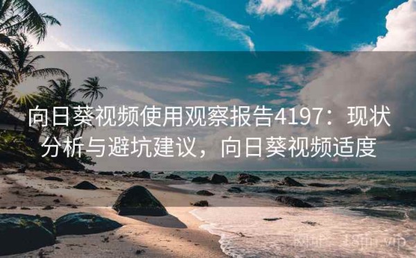 向日葵视频使用观察报告4197：现状分析与避坑建议，向日葵视频适度