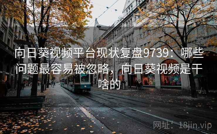 向日葵视频平台现状复盘9739：哪些问题最容易被忽略，向日葵视频是干啥的