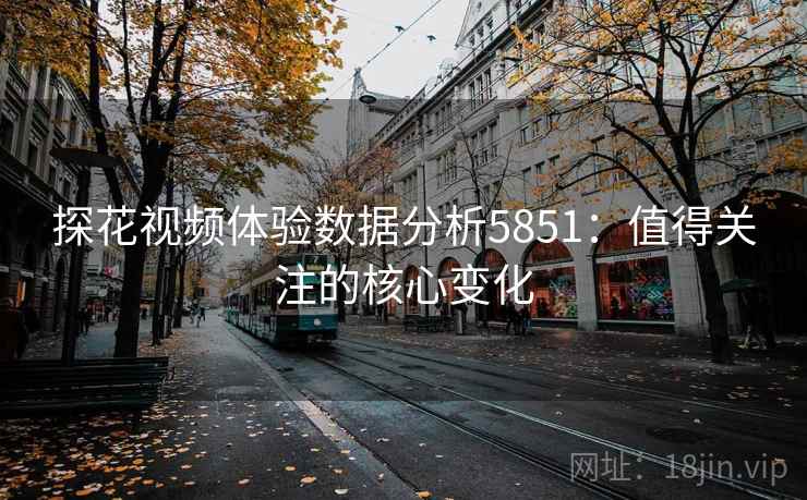 探花视频体验数据分析5851：值得关注的核心变化