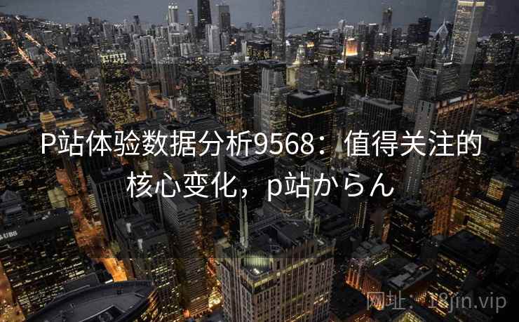P站体验数据分析9568：值得关注的核心变化，p站からん